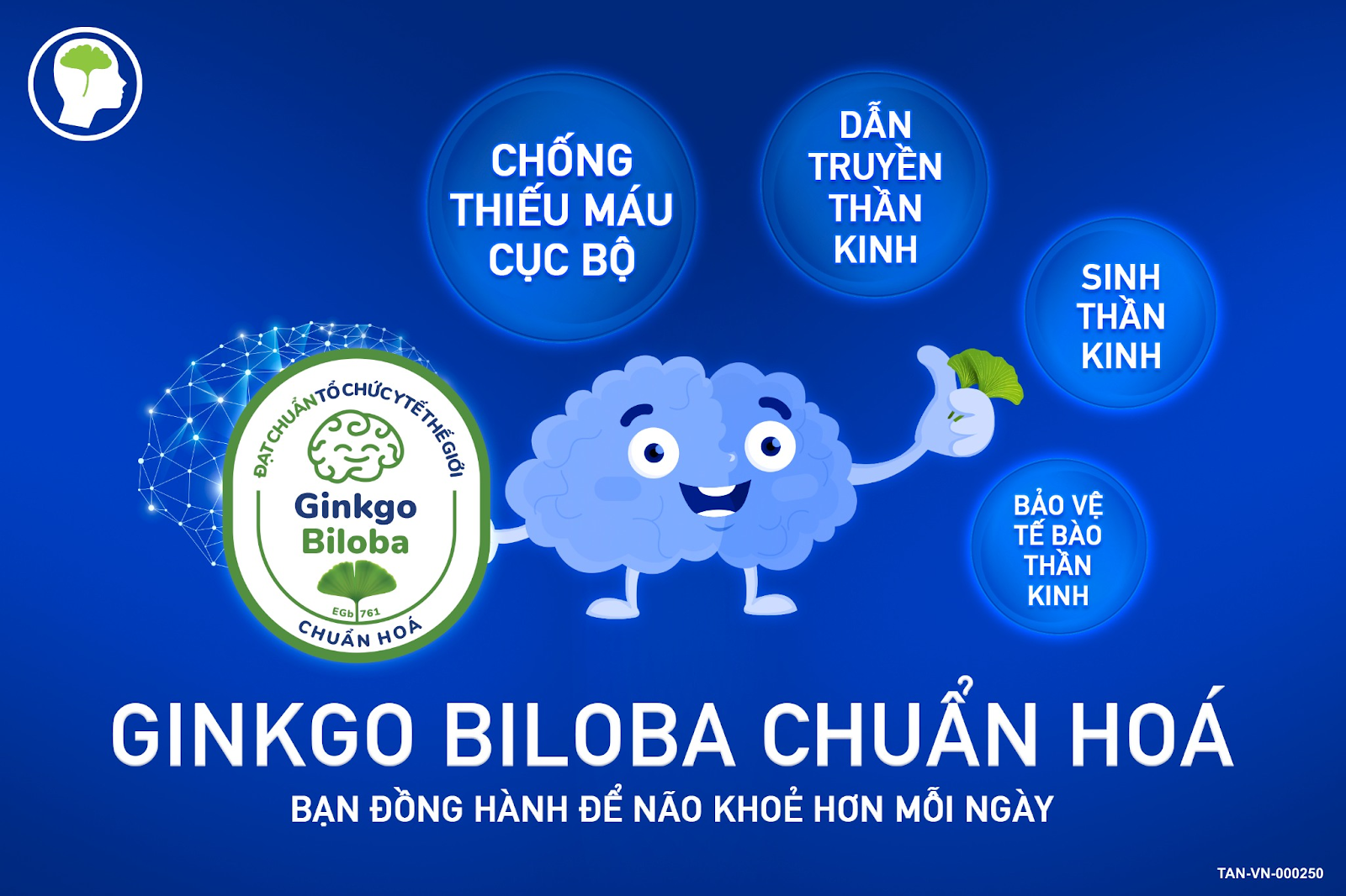 Ginkgo Biloba Chuẩn Hóa - Bí Quyết Não Khỏe Mỗi Ngày