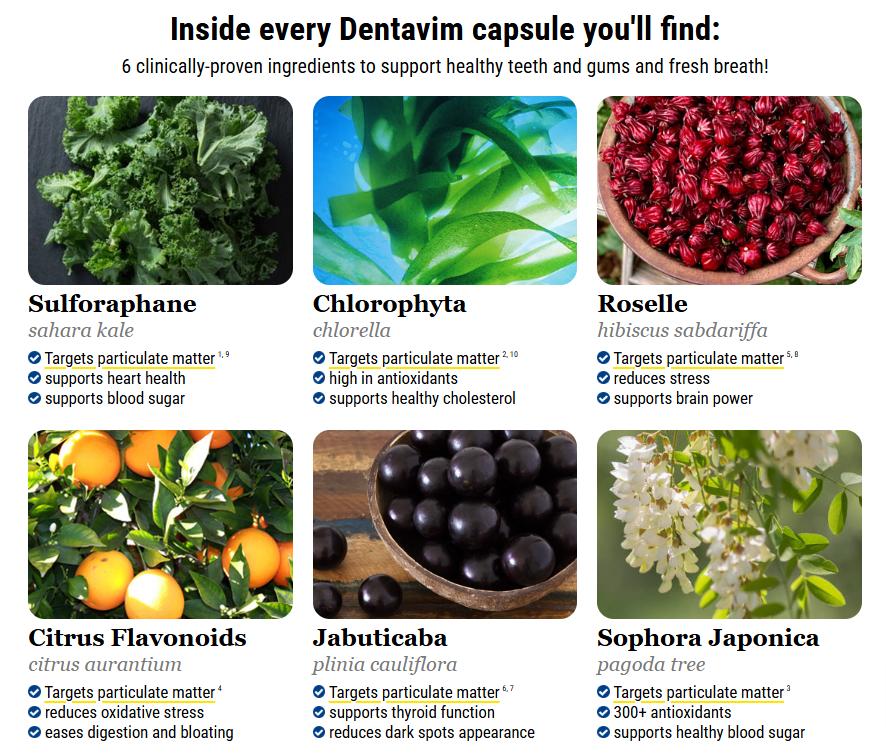 dentavim ingredients