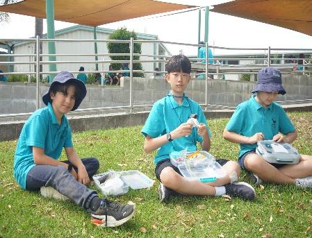 A group of young boys sitting on the grass AI-generated content may be incorrect.