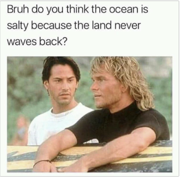 A screen grab from the 1991 film, Point Break, showing actors Keanue Reeves and Patrick Swayze in a meme with the words, "Bruh do you think the ocean is salty because the land never waves back?" above them in the image. 