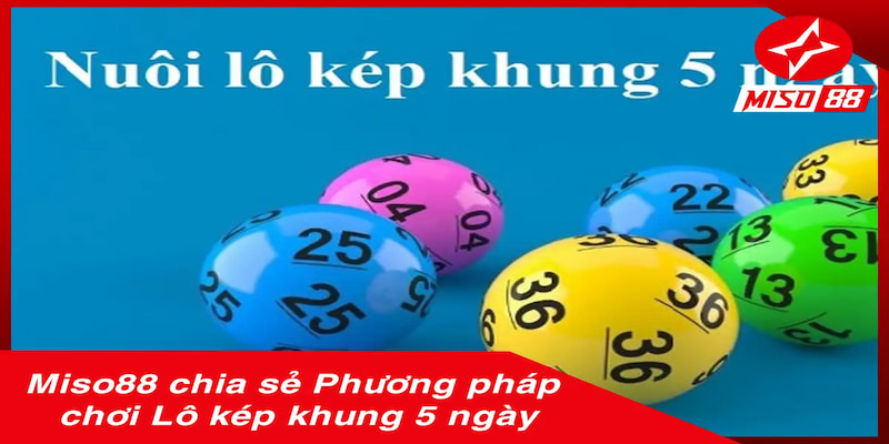 Điều kiện cần thiết để nuôi lô kép khung 5 ngày tại Miso88