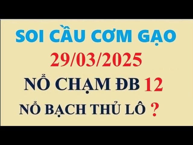 Cách bắt cầu lô miền Bắc – Dự đoán 99% trúng số hiệu quả và chính xác