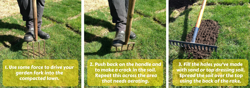 How to Aerate a Lawn