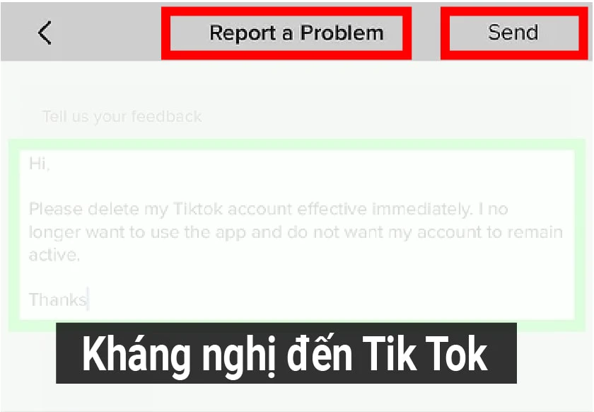 tài khoản TikTok bị vô hiệu hóa