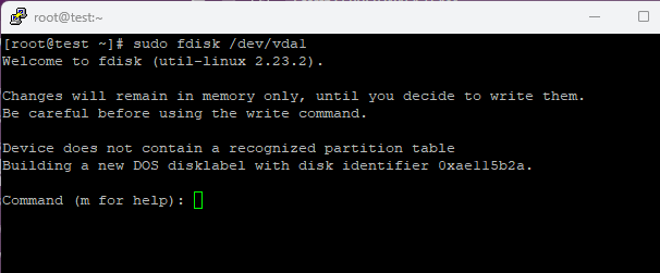 Partition Disk Using The fdisk Command