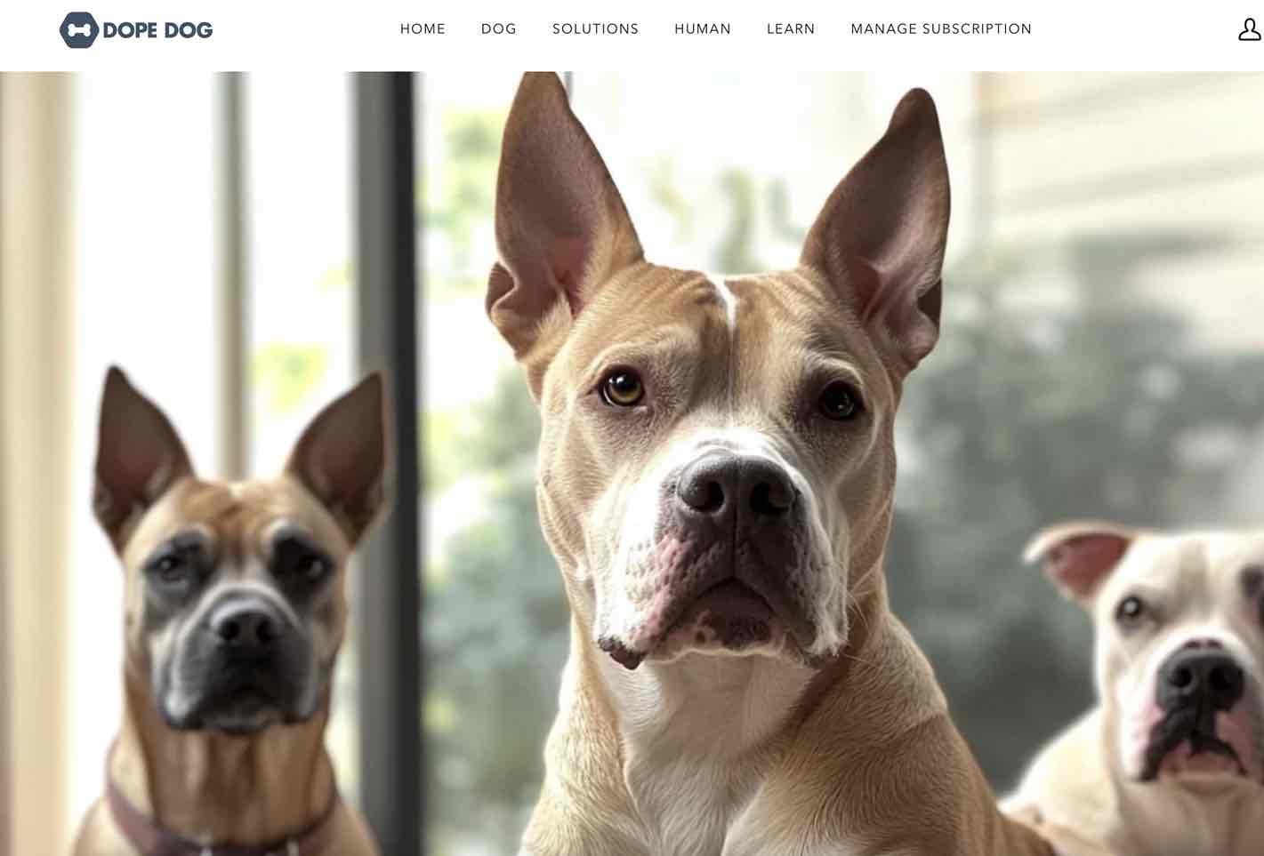A screenshot of Dope Dog as a pet brand looking influencers 
