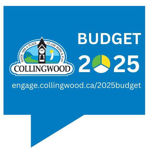 2025 Budget logo