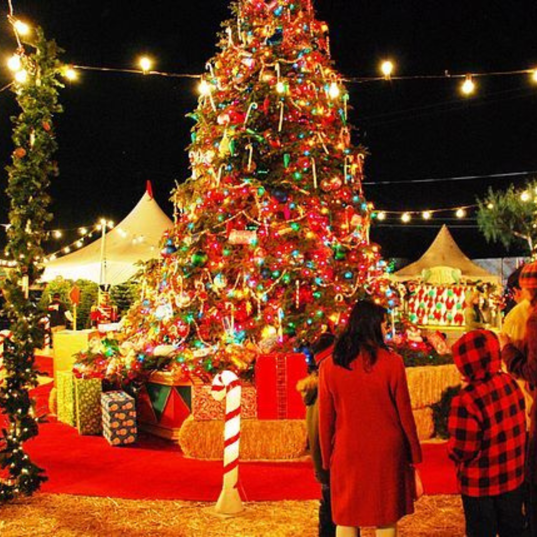 Top 5 Christmas Destinations to Visit in India in 2024 