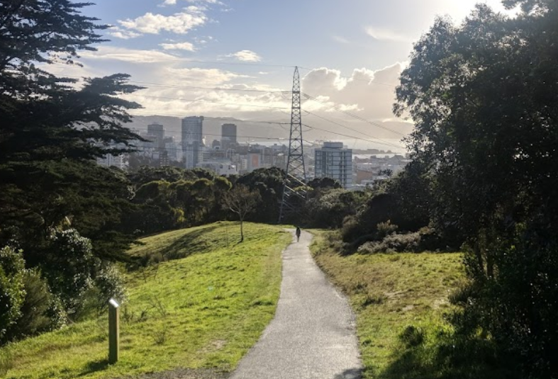 Central Park Wellington