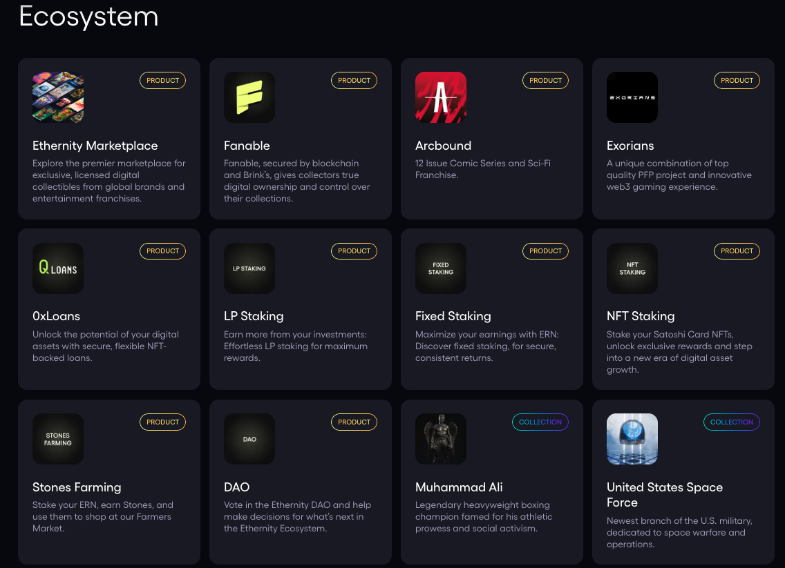 Project Review: Ethernity