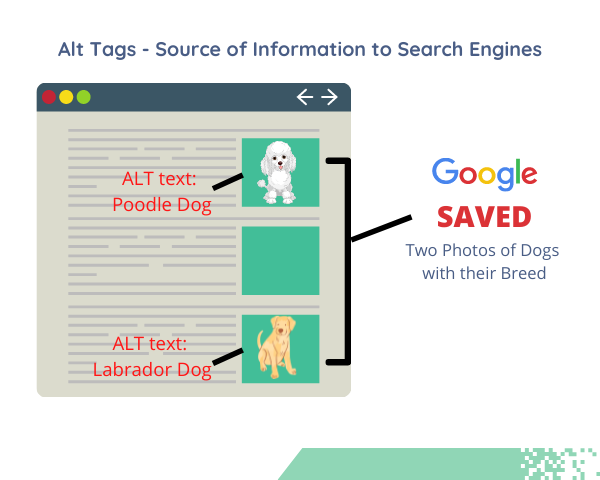 ALT_Tags_in_SEO