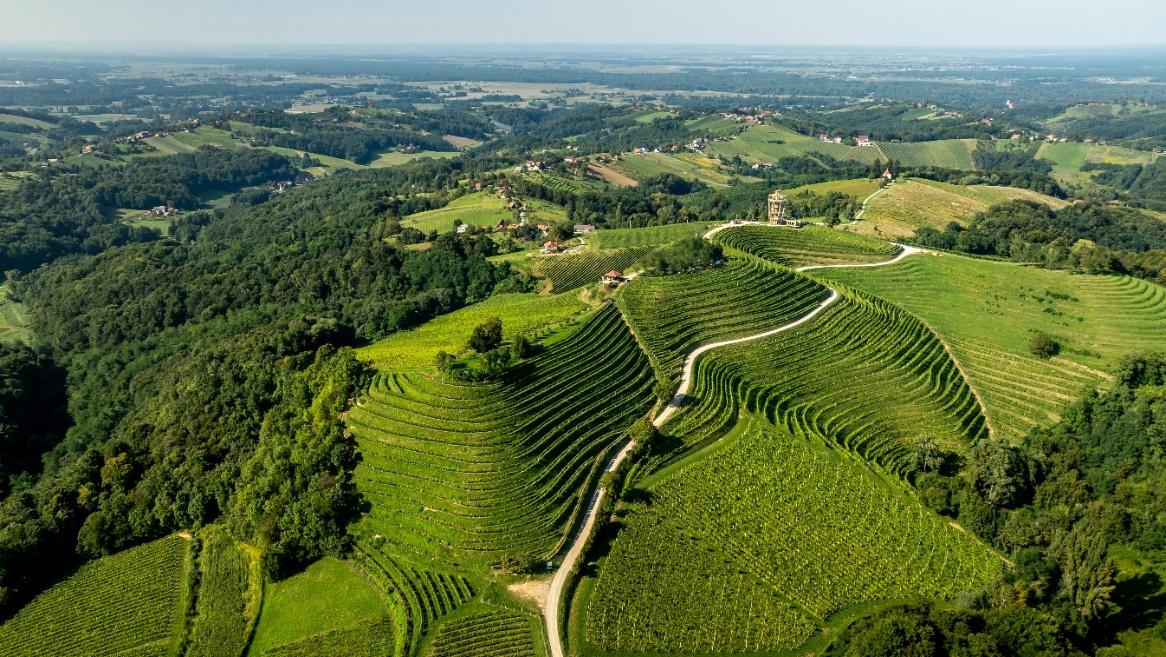 Aerial view of a green landscape

AI-generated content may be incorrect.