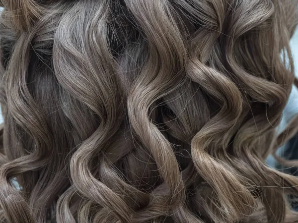 A close-up view of tightly curled, medium brown hair with a shiny and defined texture, highlighting the intricate spiral curls.