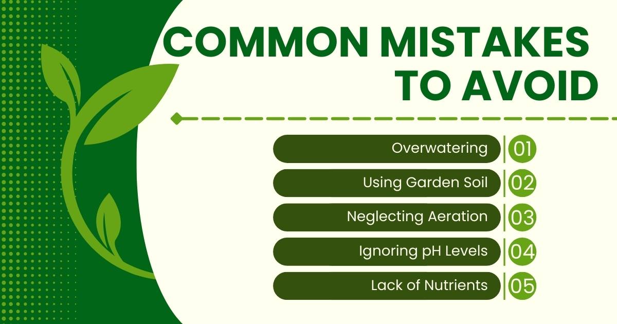 Common Mistakes to Avoid