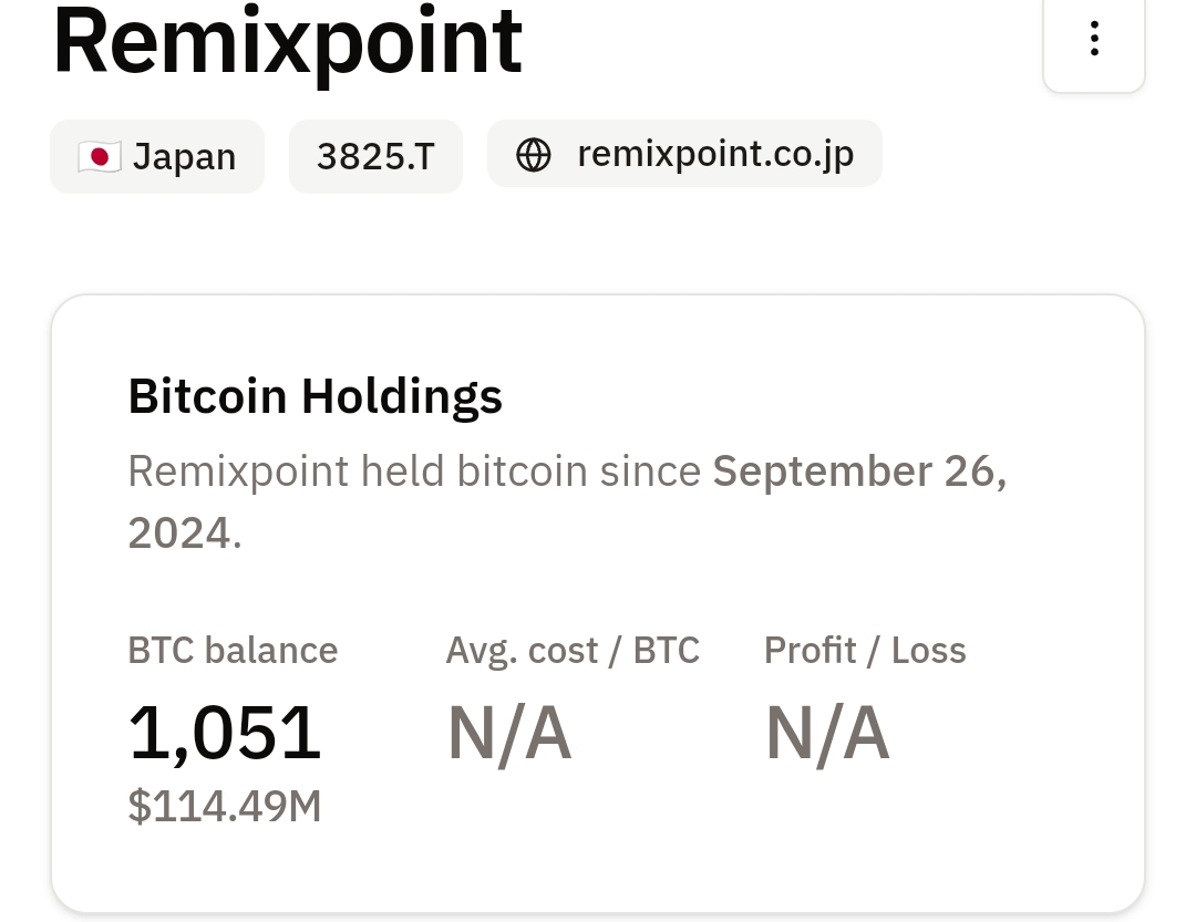 Bitcoin holdings 