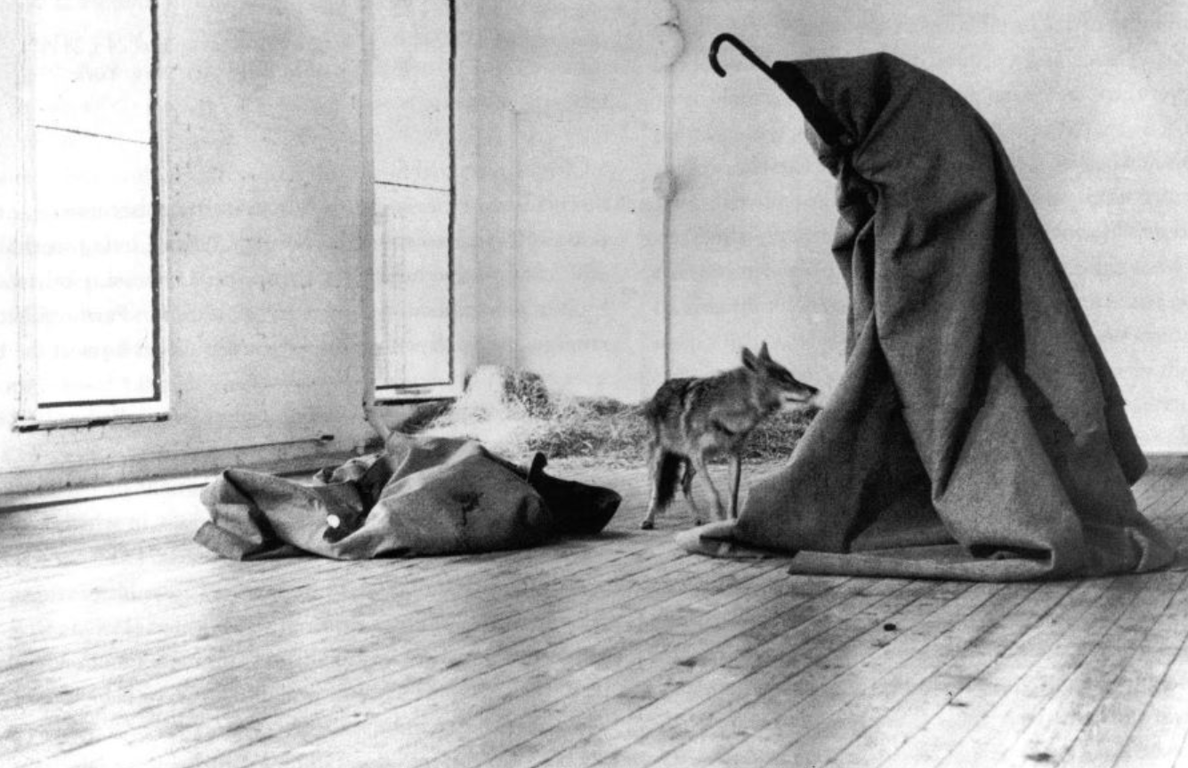 Màn trình diễn I Like America And America Likes Me của nghệ sĩ người Đức Joseph Beuys