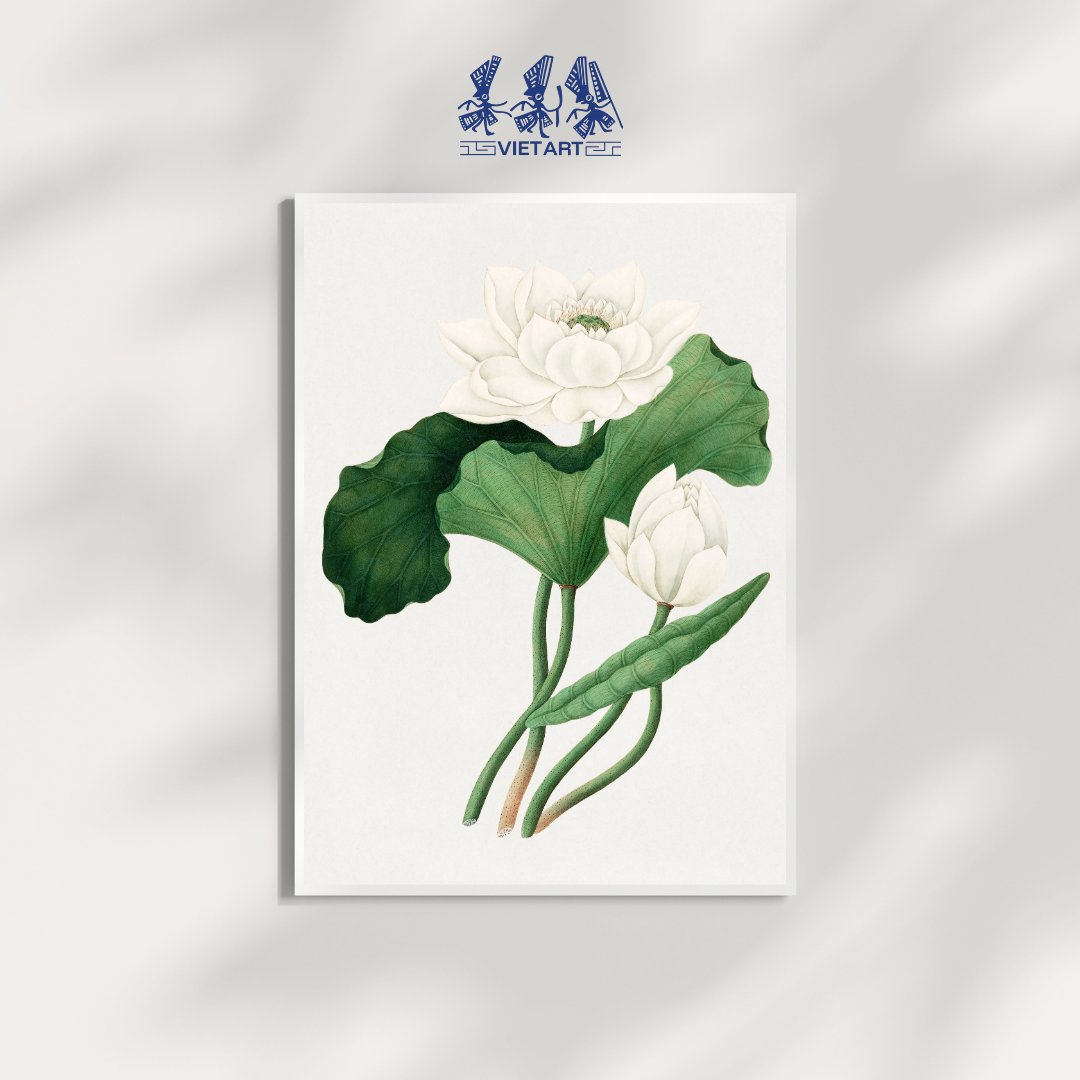 Tranh canvas hoa sen trắng