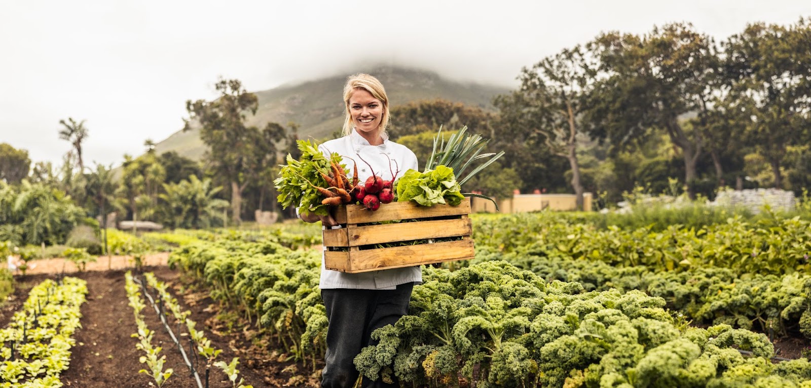 farm farmer green