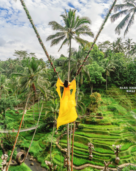 what to do in bali - try Bali Swing at Alas Harum at Tegallalang Rice Terrace