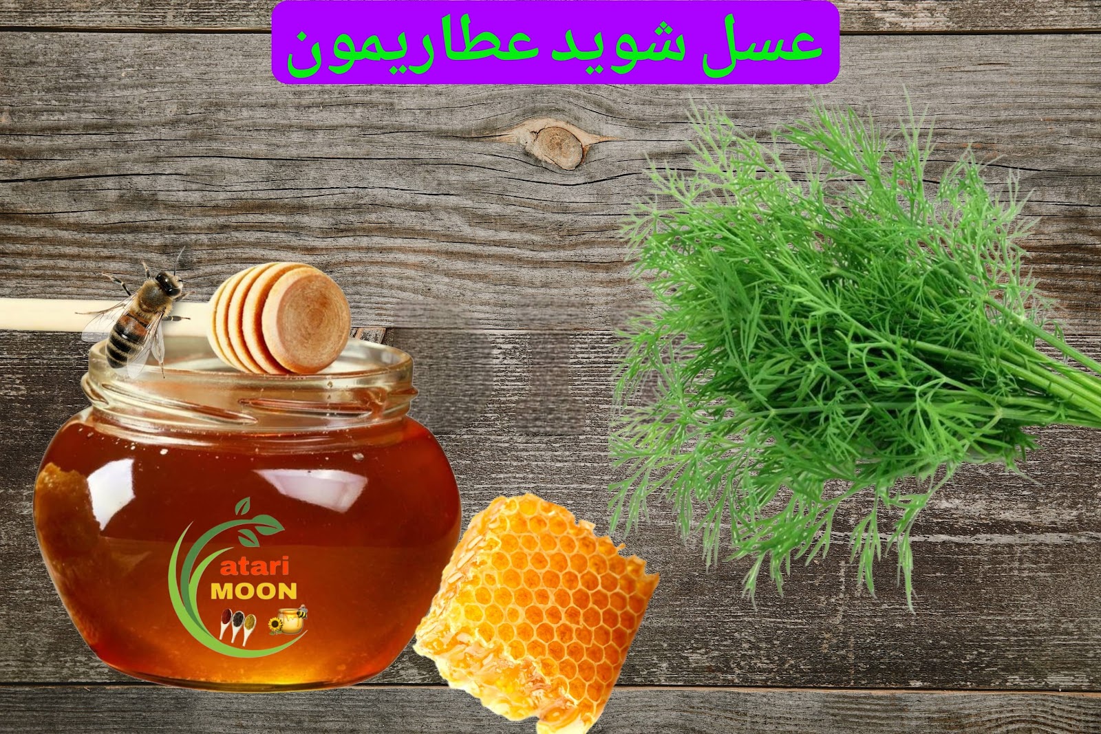 عسل شوید عطاریمون