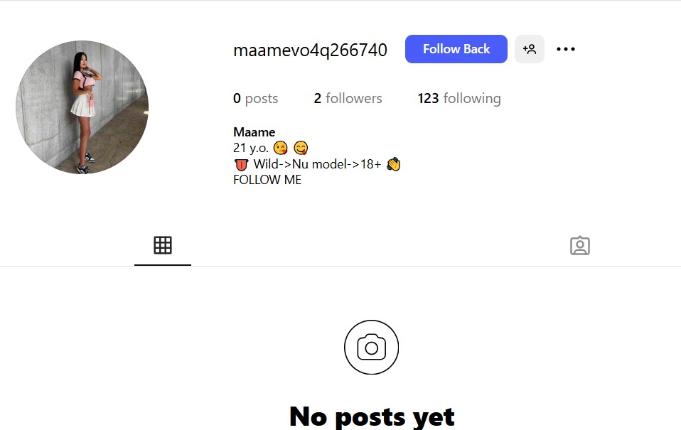 fake Instagram account example
