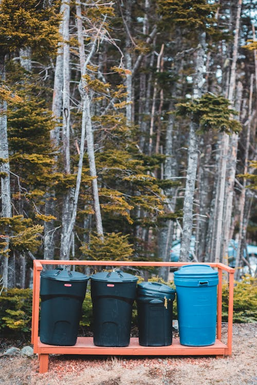 Plastic bins 
