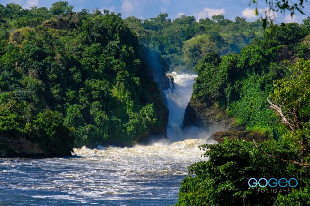 image of water falls between lush greenery