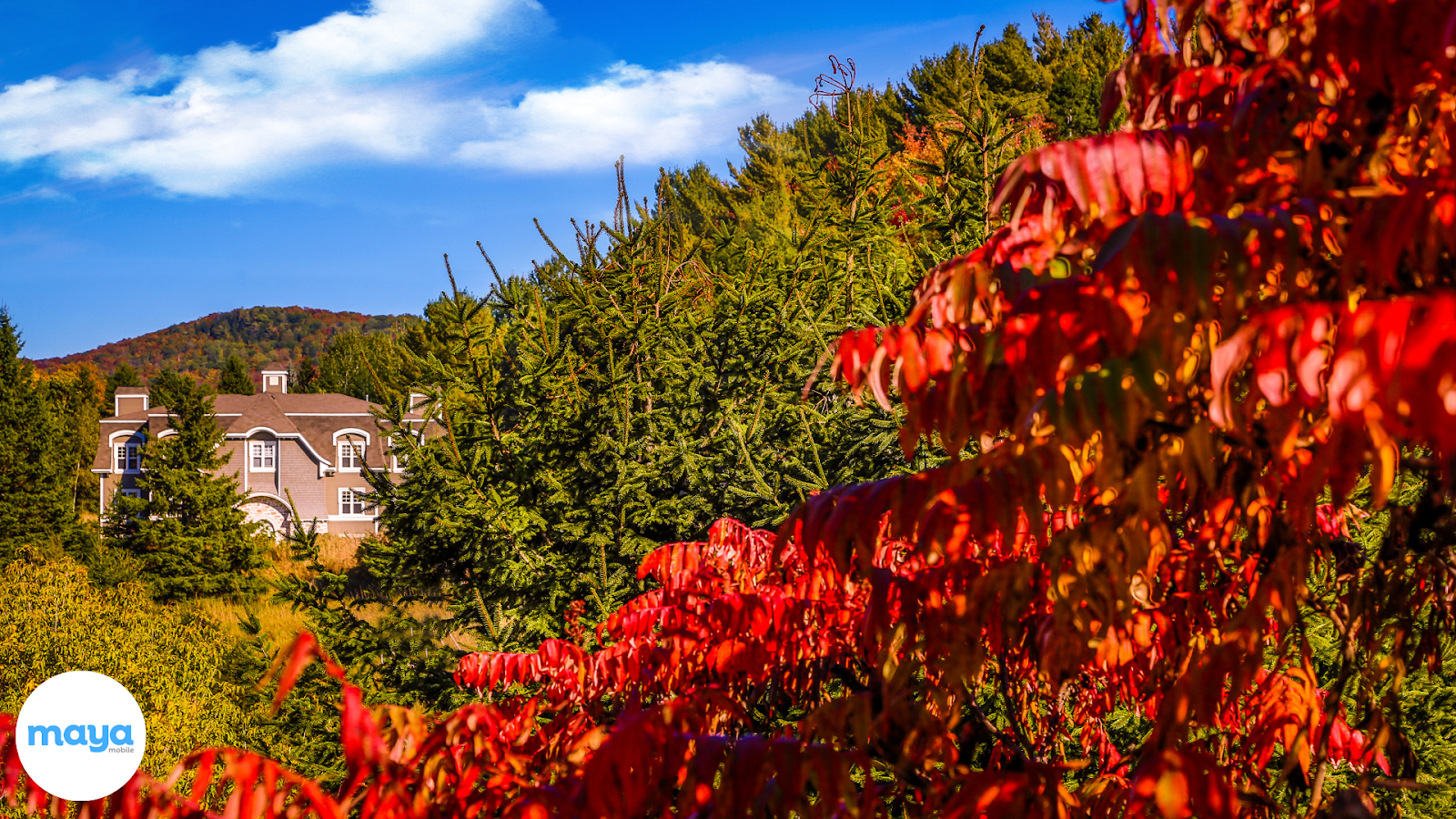 The Laurentians, Quebec - Places to Visit in Canada