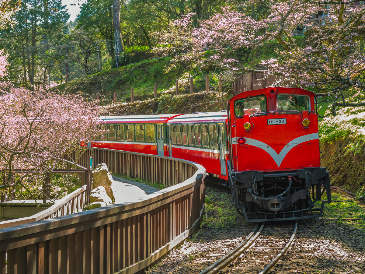 Alishan National Scenic Area