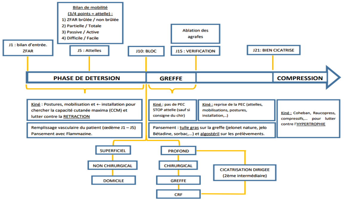 Une image contenant texte, capture d’écran, ligne, diagramme

Description générée automatiquement