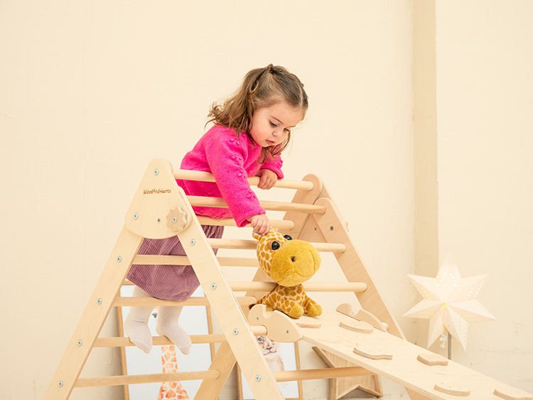Toy Slide Adventure