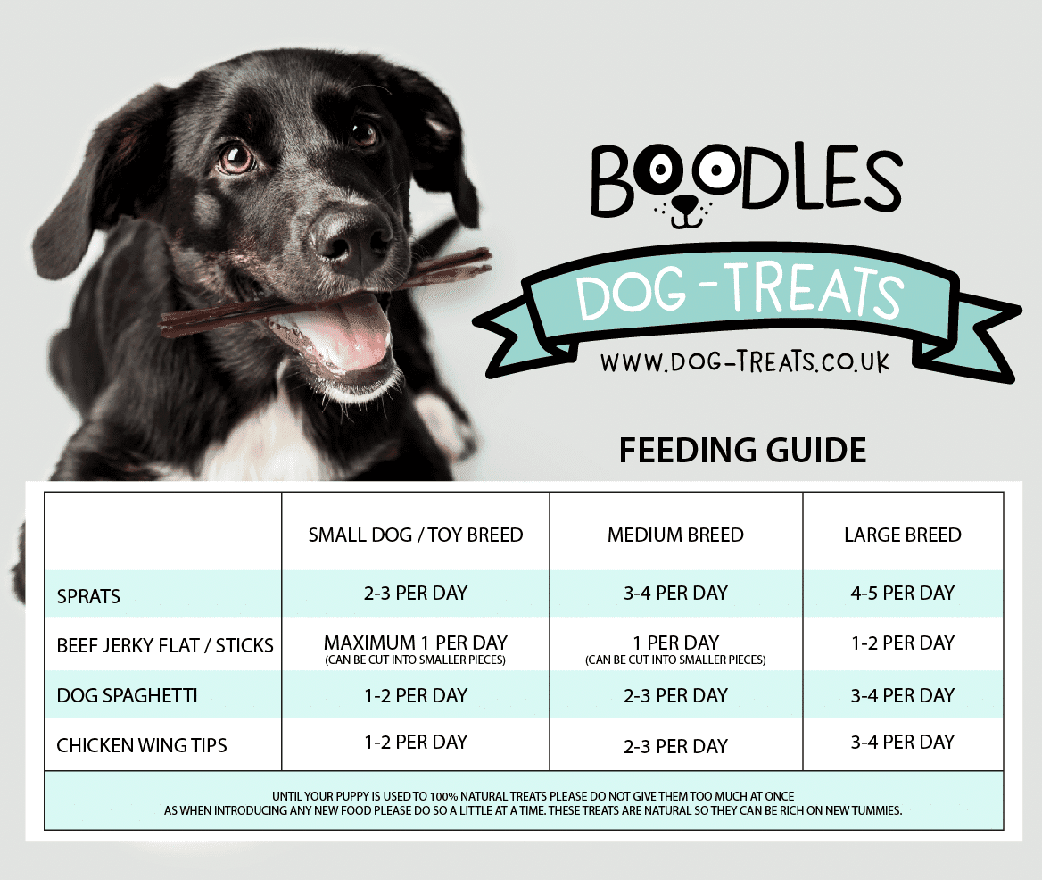 dog-training-treat-pouch