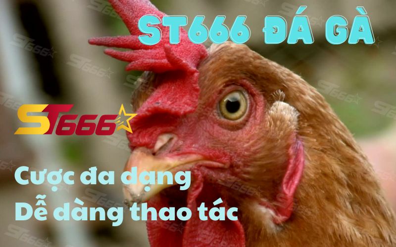 AD_4nXepU4MUybqoJ5mftEQEQMqsCuFOnzmD-5Zj9by1zTPPVJ4IProb0yv36eRprCh8QeWQXWcdG2TrW6DQMfE3doQDlA8lvy1CEUWlzXHEIB8SERAaGC6by2xtmukz9oJnAD_6G9GNFVKs4m1PRKXy9HRkzBc