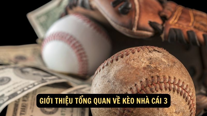 Giới thiệu tổng quan về kèo nhà cái 3