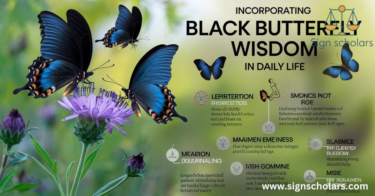 Incorporating Black Butterfly Wisdom in Daily Life