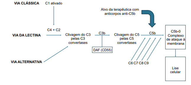 HEMOGLOBINÚRIA PAROXÍSTICA NOTURNA