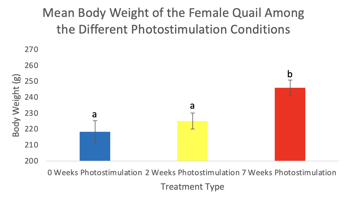 A graph of different colored squares

Description automatically generated