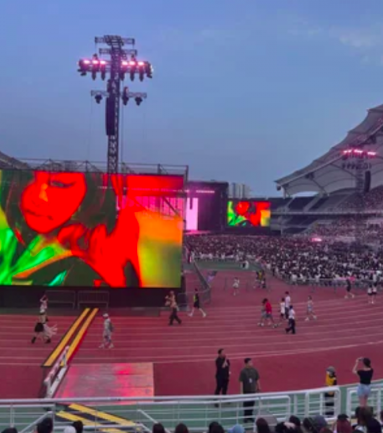 This contains an image of Blackpink Zero Visibility Concert Seats