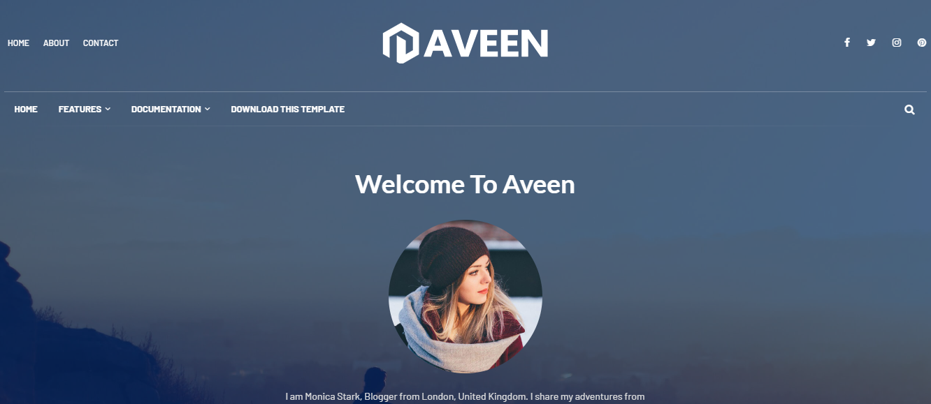 Aveen photography blog template