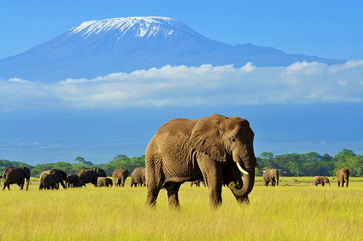 Best Places to Visit in Africa in December - Kenya