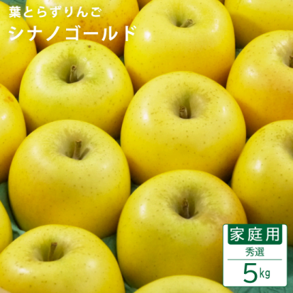 信濃金蘋果特寫