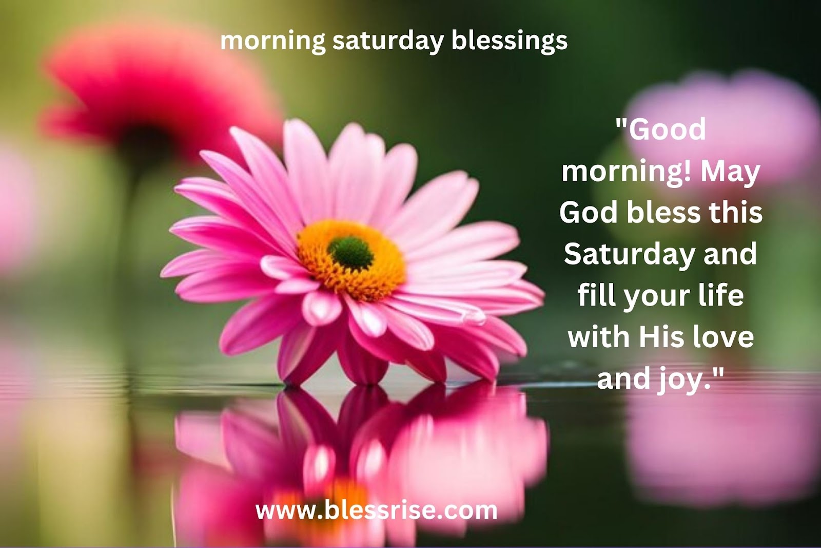 Saturday Sunshine Blessings