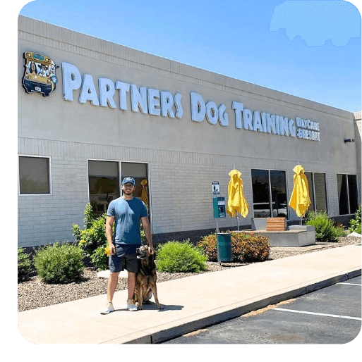partners-dog-training-scottsdale-expert-training-for-happy-dogs
