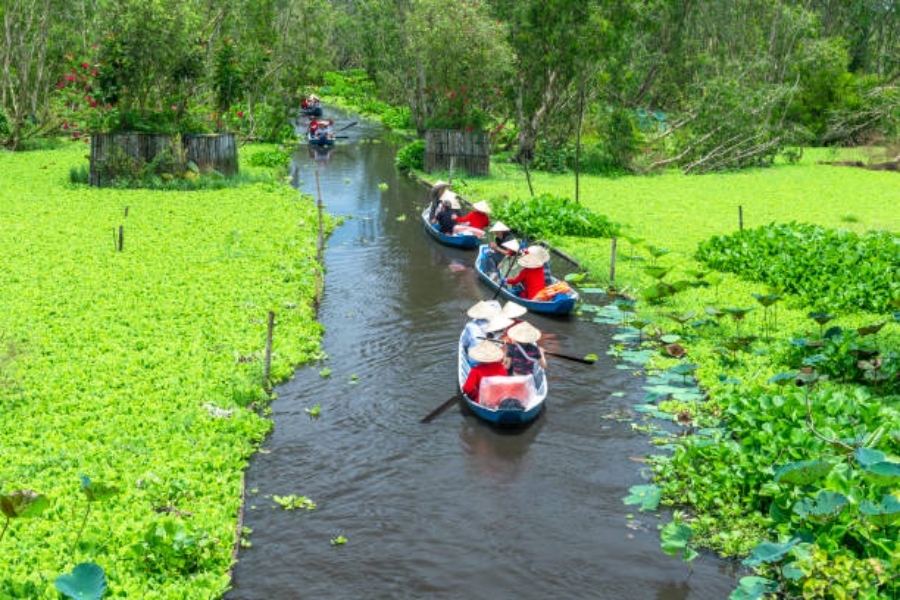 Activities at Vi Thuy Melaleuca Forest