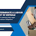 How to Terminate a Labour Contract in Vietnam? 3 Key Matters on Essential Rules, Legal Insights, and Employer Obligations