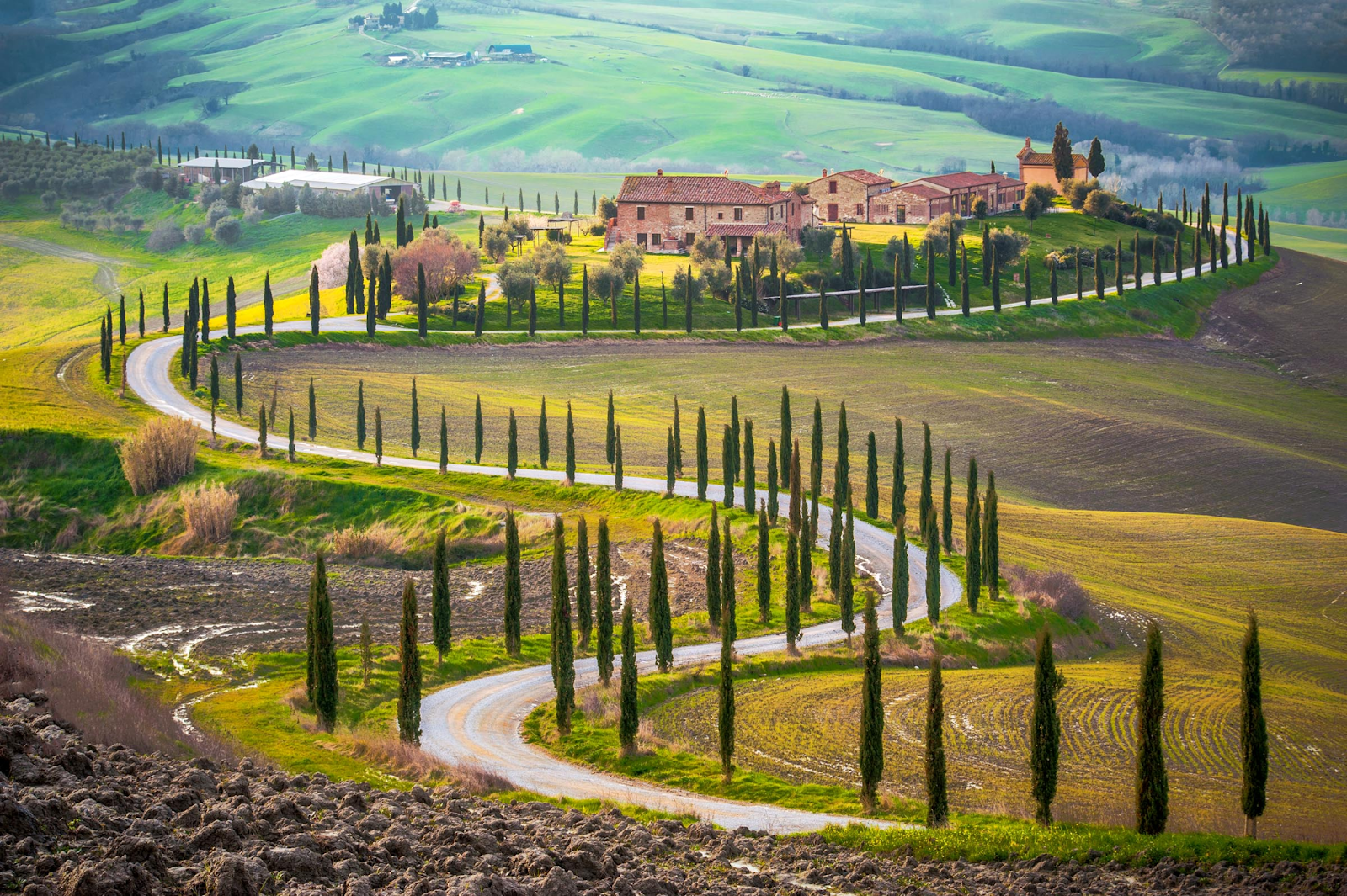 Painting of Tuscany, Italy