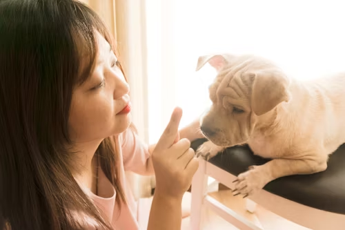 Dogs Can Smell Your Feelings