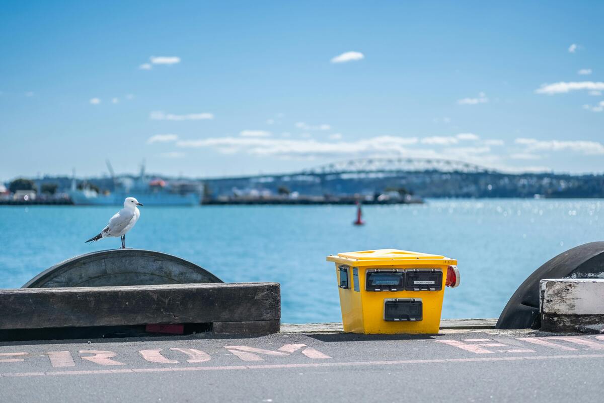 Seagull on a New Zealand pier next to a postal pole, with the iconic New Zealand bridge in the background