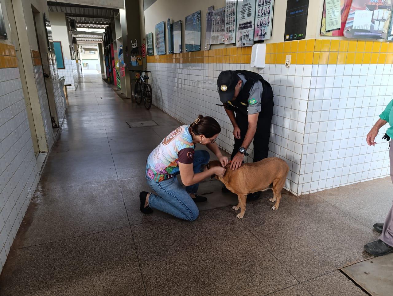 Mulher sentada com cachorro no chãoO conteúdo gerado por IA pode estar incorreto.