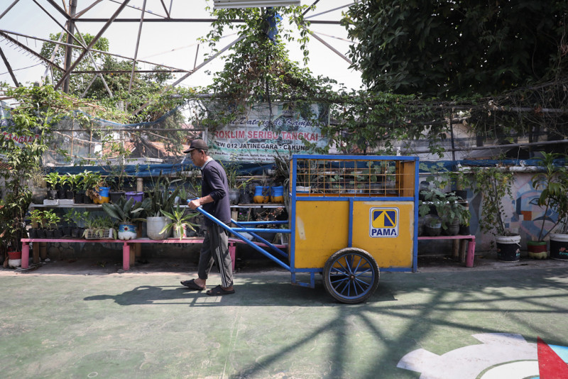 Kampung Proklim Jatinegara Raih Penghargaan Kampung Berseri Astra: Sukses dalam Upaya Adaptasi dan Mitigasi Perubahan Iklim